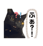 ヌッコさん3（個別スタンプ：21）