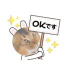 Ruaすたんぷ（個別スタンプ：4）