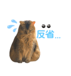 Ruaすたんぷ（個別スタンプ：10）