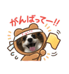 えんぷり（個別スタンプ：2）