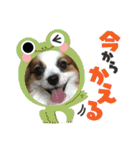 えんぷり（個別スタンプ：4）