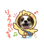 えんぷり（個別スタンプ：6）