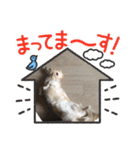えんぷり（個別スタンプ：8）
