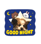 えんぷり（個別スタンプ：14）