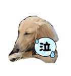えんぷり（個別スタンプ：27）