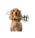えんぷり（個別スタンプ：28）