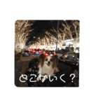 えんぷり（個別スタンプ：30）