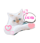モッピーぶぅちゃんくぅちゃん（個別スタンプ：18）