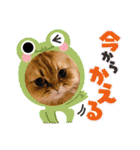 モッピーぶぅちゃんくぅちゃん（個別スタンプ：19）