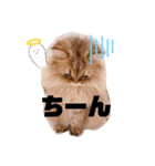 モッピーぶぅちゃんくぅちゃん（個別スタンプ：30）