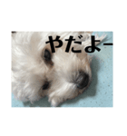めんどくさがり屋ララちゃん（個別スタンプ：4）