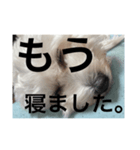 めんどくさがり屋ララちゃん（個別スタンプ：6）