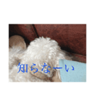 めんどくさがり屋ララちゃん（個別スタンプ：7）