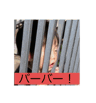 気分屋れおんくん（個別スタンプ：6）
