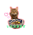 ニーナ＆マシュー（個別スタンプ：4）