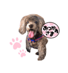 ラウラです！（個別スタンプ：4）