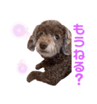 ラウラです！（個別スタンプ：6）