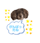 ラウラです！（個別スタンプ：7）