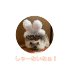 ハリネズミのいつお（個別スタンプ：3）