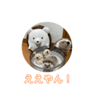 ハリネズミのいつお（個別スタンプ：4）