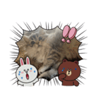 ao-gram スタンプ（個別スタンプ：21）