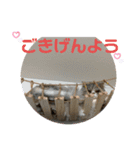 comoyu♡（個別スタンプ：7）