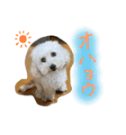 みるちゃん♡（個別スタンプ：1）