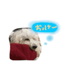 みるちゃん♡（個別スタンプ：2）