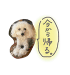 みるちゃん♡（個別スタンプ：3）