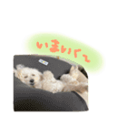 みるちゃん♡（個別スタンプ：4）