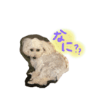 みるちゃん♡（個別スタンプ：5）