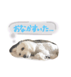 みるちゃん♡（個別スタンプ：6）