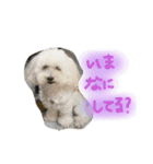 みるちゃん♡（個別スタンプ：8）