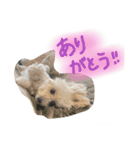 みるちゃん♡（個別スタンプ：10）
