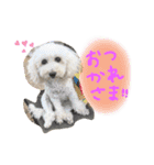 みるちゃん♡（個別スタンプ：11）