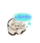 みるちゃん♡（個別スタンプ：15）