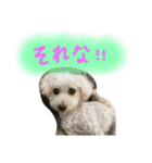 みるちゃん♡（個別スタンプ：16）