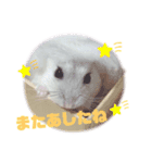 おもちでしゅ！（個別スタンプ：4）