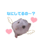 おもちでしゅ！（個別スタンプ：5）