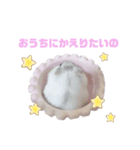 おもちでしゅ！（個別スタンプ：6）