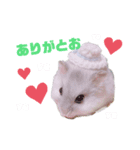 おもちでしゅ！（個別スタンプ：7）