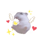 おもちでしゅ！（個別スタンプ：8）