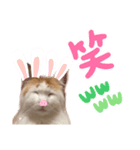 ねっこ様の尊い言葉（日常会話）（個別スタンプ：7）
