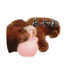 もしも愛犬がしゃべったら…（個別スタンプ：1）