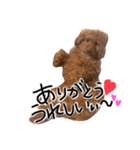 もしも愛犬がしゃべったら…（個別スタンプ：7）