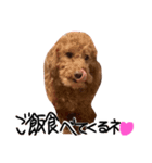 もしも愛犬がしゃべったら…（個別スタンプ：9）