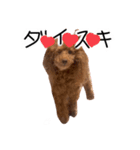 もしも愛犬がしゃべったら…（個別スタンプ：11）