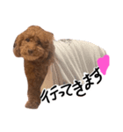 もしも愛犬がしゃべったら…（個別スタンプ：12）