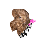 もしも愛犬がしゃべったら…（個別スタンプ：13）