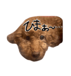 もしも愛犬がしゃべったら…（個別スタンプ：15）